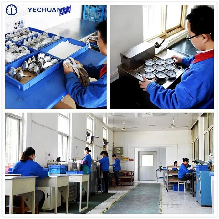 testing process