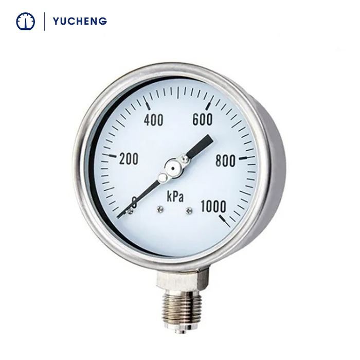 Absolute pressure gauge